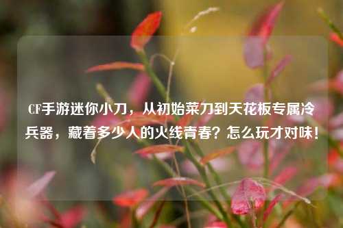 CF手游迷你小刀，从初始菜刀到天花板专属冷兵器，藏着多少人的火线青春？怎么玩才对味！