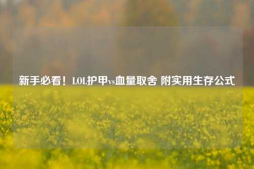 新手必看!LOL护甲vs血量取舍 附实用生存公式