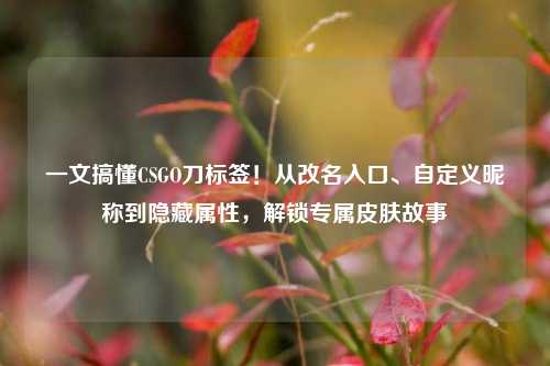 一文搞懂CSGO刀标签！从改名入口、自定义昵称到隐藏属性，解锁专属皮肤故事