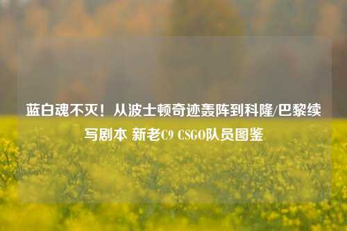 蓝白魂不灭!从波士顿奇迹轰阵到科隆/巴黎续写剧本 新老C9 CSGO队员图鉴