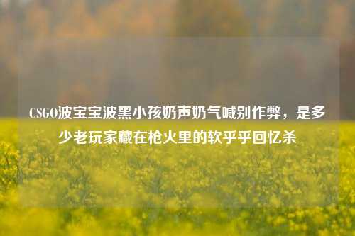 CSGO波宝宝波黑小孩奶声奶气喊别作弊，是多少老玩家藏在枪火里的软乎乎回忆杀