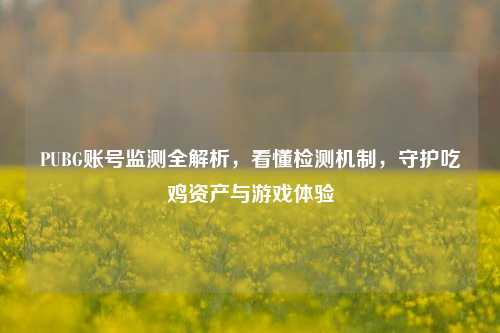 PUBG账号监测全解析,看懂检测机制,守护吃鸡资产与游戏体验