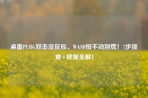 桌面PUBG双击没反应、WASD按不动别慌!7步排查+修复全解!