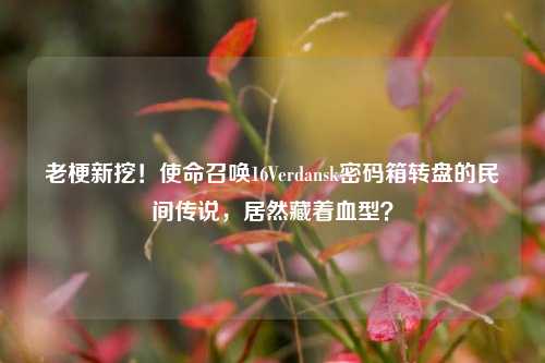 老梗新挖！使命召唤16Verdansk密码箱转盘的民间传说，居然藏着血型？