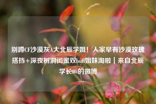 别蹲CF沙漠灰A大北辰学姐!人家早有沙漠玫瑰搭挡+深夜树洞闺蜜双buff姐妹淘啦|来自北辰学长sss的微博