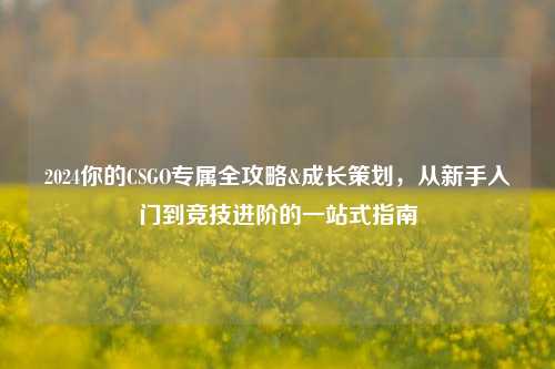 2024你的CSGO专属全攻略&成长策划，从新手入门到竞技进阶的一站式指南