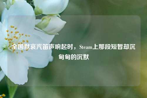 全国默哀汽笛声响起时,Steam上那段短暂却沉甸甸的沉默