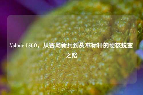 Voltaic CSGO,从赛场新兵到战术标杆的硬核蜕变之路
