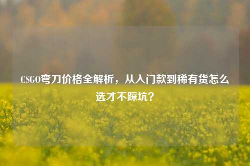 CSGO弯刀价格全解析,从入门款到稀有货怎么选才不踩坑?