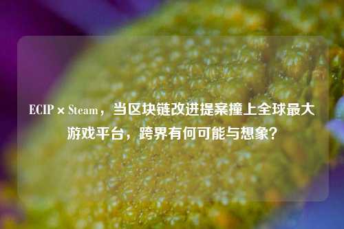 ECIP×Steam,当区块链改进提案撞上全球最大游戏平台,跨界有何可能与想象?