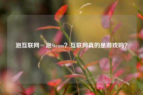 泡互联网≈泡Steam?互联网真的是游戏吗?