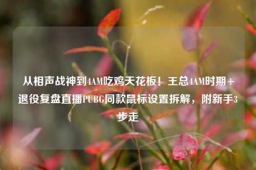 从相声战神到4AM吃鸡天花板!王总4AM时期+退役复盘直播PUBG同款鼠标设置拆解,附新手3步走