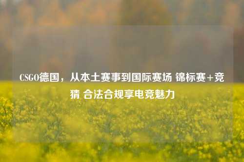 CSGO德国,从本土赛事到国际赛场 锦标赛+竞猜 合法合规享电竞魅力
