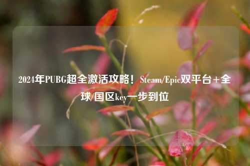 2024年PUBG超全激活攻略！Steam/Epic双平台+全球/国区key一步到位