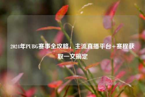 2024年PUBG赛事全攻略，主流直播平台+赛程获取一文搞定