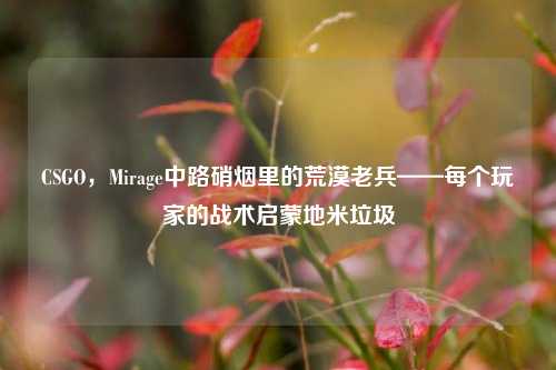 CSGO,Mirage中路硝烟里的荒漠老兵——每个玩家的战术启蒙地米垃圾