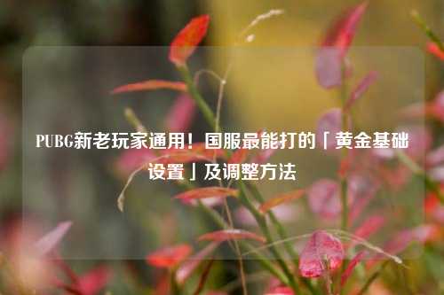PUBG新老玩家通用!国服最能打的「黄金基础设置」及调整方法
