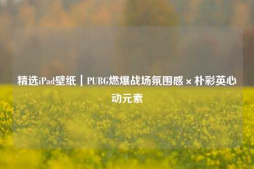 精选iPad壁纸｜PUBG燃爆战场氛围感×朴彩英心动元素