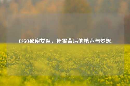 CSGO秘密女队,迷雾背后的枪声与梦想