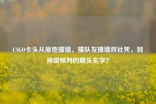 CSGO卡头从原地撞墙、撞队友撞墙双社死,到神级预判的藏头玄学?