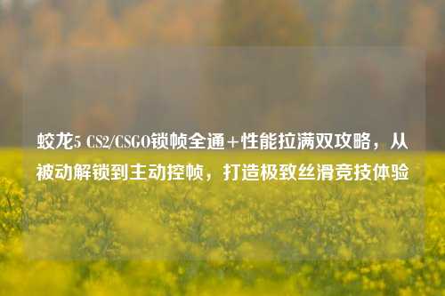 蛟龙5 CS2/CSGO锁帧全通+性能拉满双攻略,从被动解锁到主动控帧,打造极致丝滑竞技体验