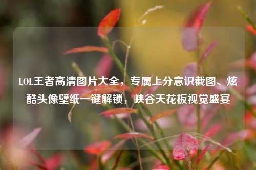 LOL王者高清图片大全，专属上分意识截图、炫酷头像壁纸一键解锁，峡谷天花板视觉盛宴