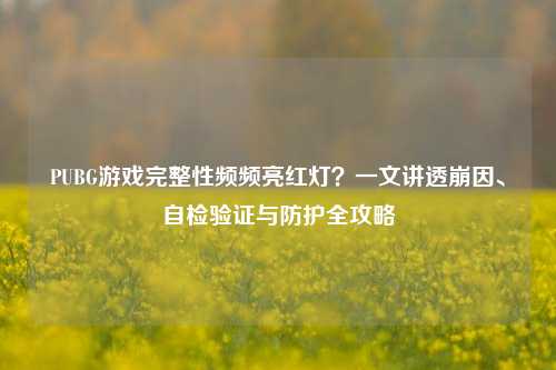 PUBG游戏完整性频频亮红灯?一文讲透崩因、自检验证与防护全攻略