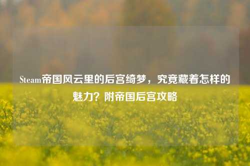 Steam帝国风云里的后宫绮梦,究竟藏着怎样的魅力?附帝国后宫攻略