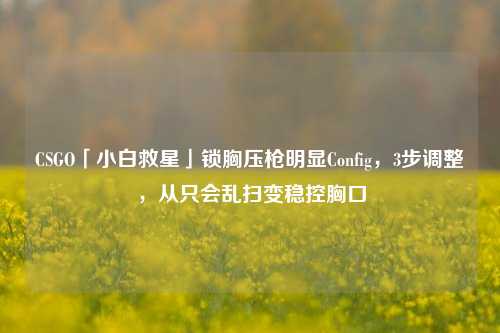CSGO「小白救星」锁胸压枪明显Config,3步调整,从只会乱扫变稳控胸口