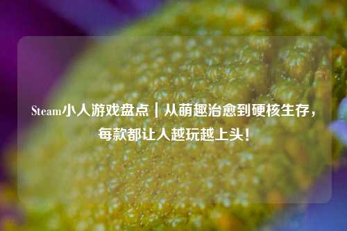 Steam小人游戏盘点｜从萌趣治愈到硬核生存，每款都让人越玩越上头！