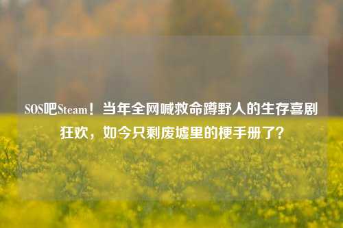 SOS吧Steam!当年全网喊救命蹲野人的生存喜剧狂欢,如今只剩废墟里的梗手册了?