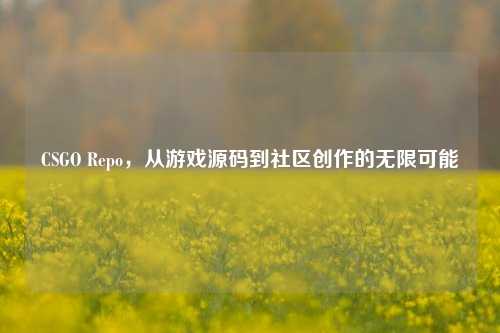 CSGO Repo,从游戏源码到社区创作的无限可能