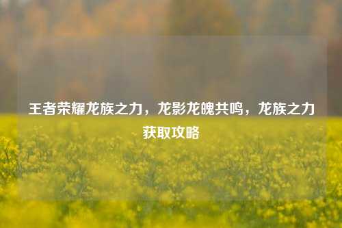 王者荣耀龙族之力，龙影龙魄共鸣，龙族之力获取攻略