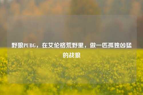 野狼PUBG,在艾伦格荒野里,做一匹孤独凶猛的战狼