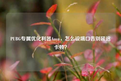 PUBG专属优化利器Anyu,怎么设端口告别延迟卡顿?