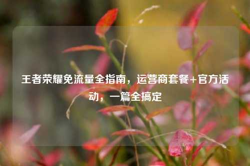王者荣耀免流量全指南，运营商套餐+官方活动，一篇全搞定