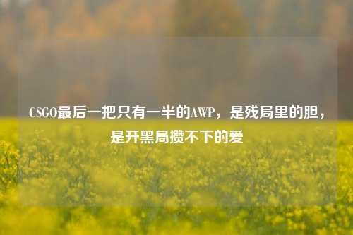 CSGO最后一把只有一半的AWP,是残局里的胆,是开黑局攒不下的爱