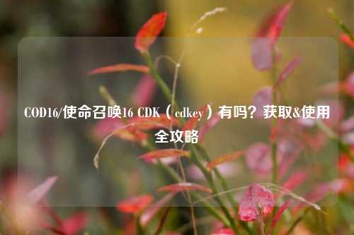 COD16/使命召唤16 CDK(cdkey)有吗?获取&使用全攻略