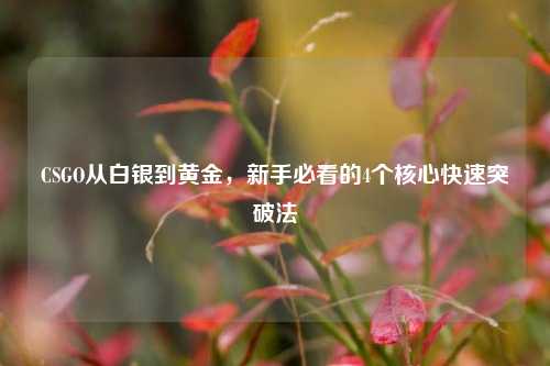 CSGO从白银到黄金,新手必看的4个核心快速突破法