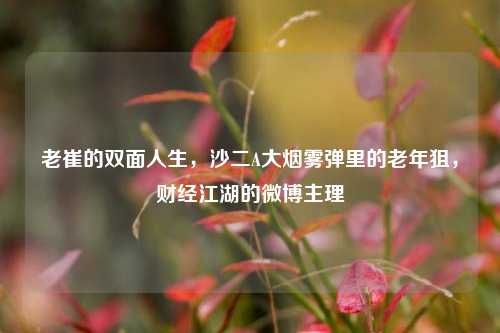 老崔的双面人生,沙二A大烟雾弹里的老年狙,财经江湖的微博主理