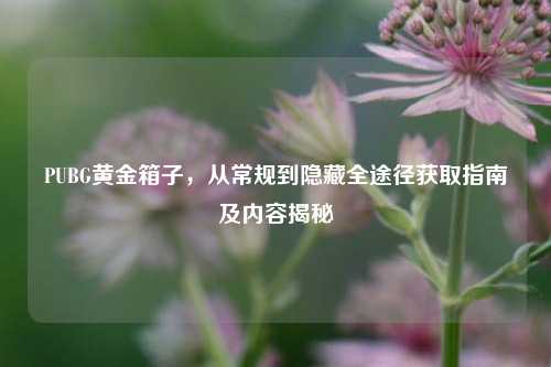 PUBG黄金箱子，从常规到隐藏全途径获取指南及内容揭秘