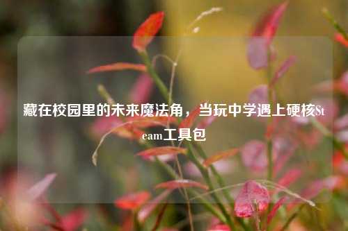藏在校园里的未来魔法角，当玩中学遇上硬核Steam工具包