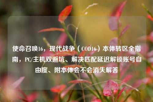 使命召唤16,现代战争(COD16)本体转区全指南,PC/主机双避坑、解决匹配延迟解锁账号自由度、附本体会不会消失解答