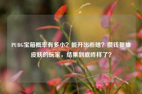 PUBG宝箱概率有多小?能开出些啥?攒钱狠抽皮肤的玩家,结果到底咋样了?