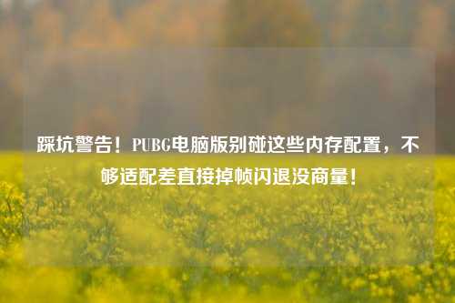 踩坑警告!PUBG电脑版别碰这些内存配置,不够适配差直接掉帧闪退没商量!