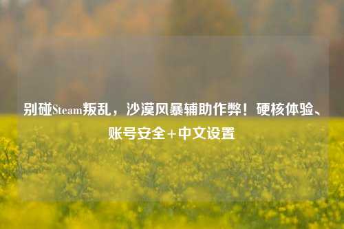 别碰Steam叛乱,沙漠风暴辅助作弊!硬核体验、账号安全+中文设置