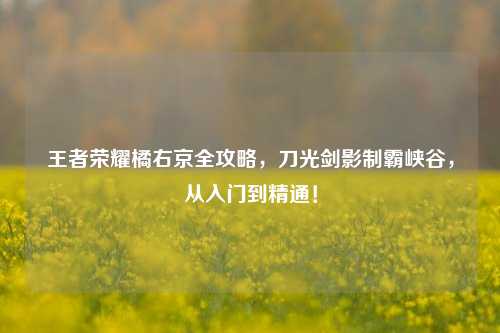 王者荣耀橘右京全攻略，刀光剑影制霸峡谷，从入门到精通！