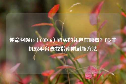 使命召唤16(COD16)购买的礼包在哪看?PC/主机双平台查找指南附刷新方法