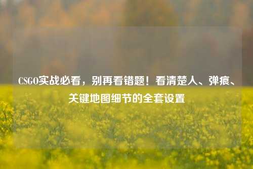 CSGO实战必看，别再看错题！看清楚人、弹痕、关键地图细节的全套设置