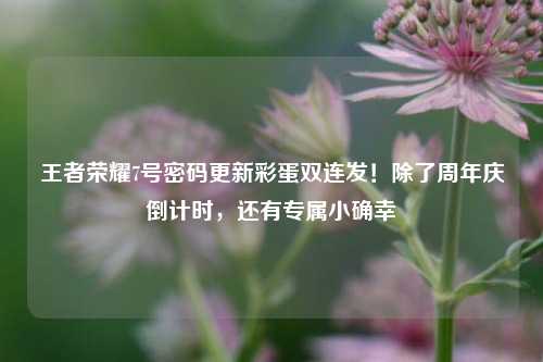 王者荣耀7号密码更新彩蛋双连发!除了周年庆倒计时,还有专属小确幸